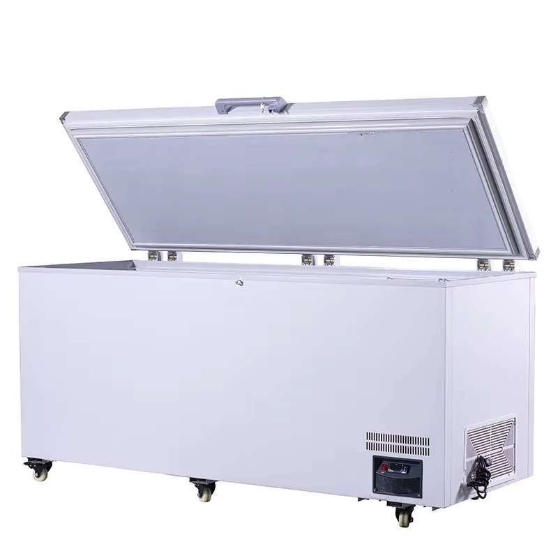 Beste supergrote commerciële h - Commercial Chest Freezer recensie en prijs