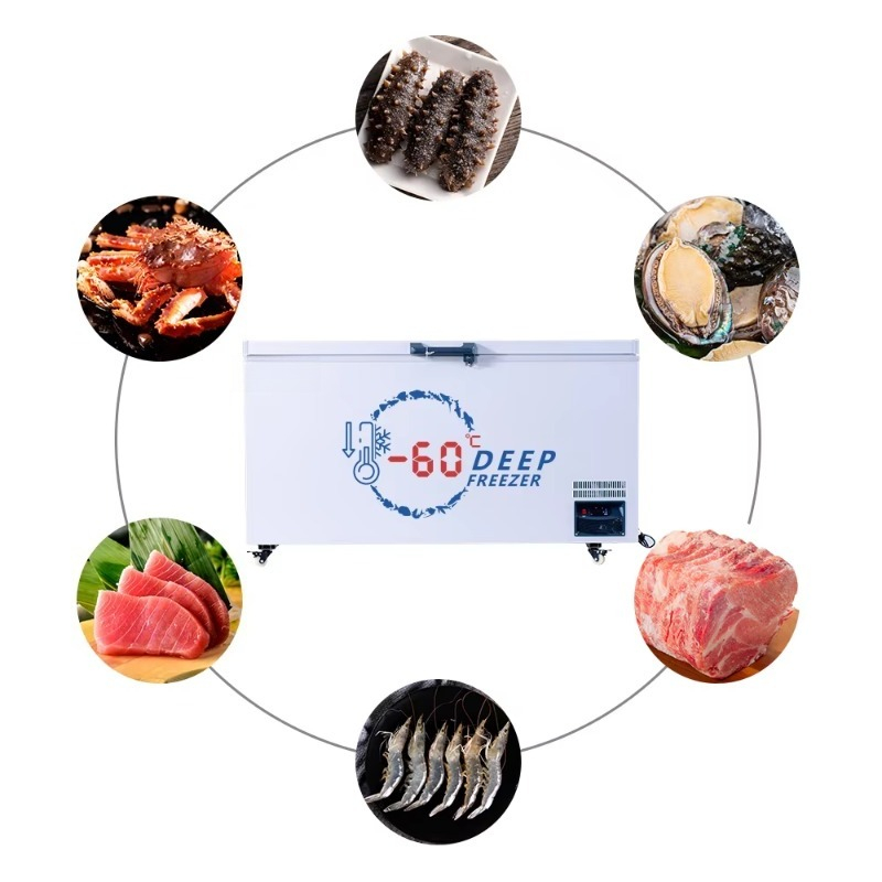 Beste supergrote commerciële h - Commercial Chest Freezer recensie en prijs
