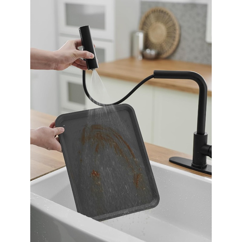 Keukenkraan met uittrekbare sp - Commercial Kitchen Sprayer recensie en prijs